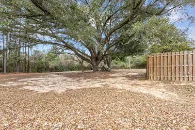 642 County Road 4335, Woodville, TX 75979 - Photo 12