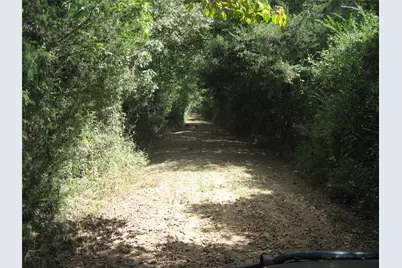 00 State Hwy 21 East, Crockett, TX 75835 - Photo 16