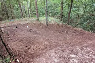 181 Sally Mayes Dr, Livingston, TX 77351 - Photo 2