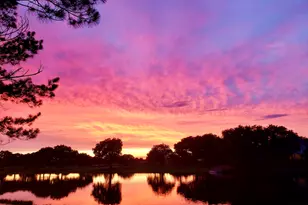 18 Crest Gate, Houston, TX 77082 - Photo 40