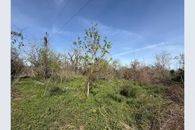 0 County Road 613, Angleton, TX 77515 - Photo 4