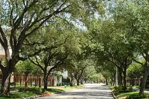 4041 Law St, Houston, TX 77005 - Photo 2