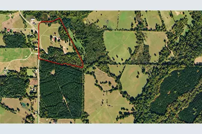 1209 Fm 220, Alto, TX 75925 - Photo 1