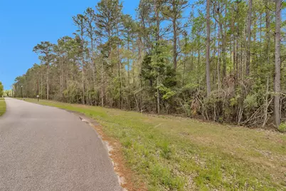 Tbd Tr3 Cedar Lane Loop, Willis, TX 77378 - Photo 6