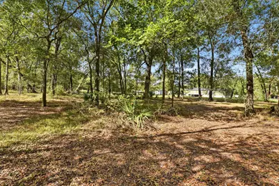137 County Road 411, Dayton, TX 77535 - Photo 40