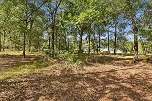 137 Co Rd 411, Dayton, TX 77535 - Photo 40