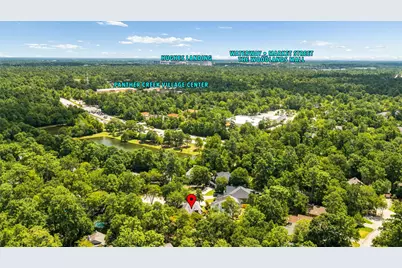 11 Winter Wheat Place, The Woodlands, TX 77381 - Photo 40