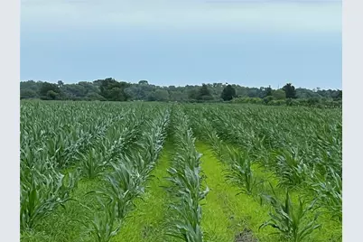 00 County Rd 390, El Campo, TX 77437 - Photo 2