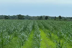 00 County Rd 390, El Campo, TX 77437 - Photo 2