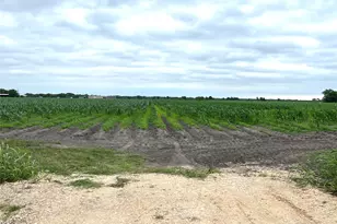 00 County Rd 390, El Campo, TX 77437 - Photo 8