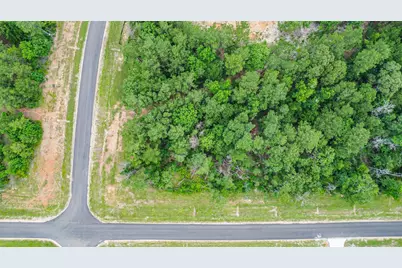 15945 Four Hills Road, Willis, TX 77378 - Photo 4