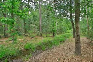 2658 Granite River Ln, Conroe, TX 77385 - Photo 44