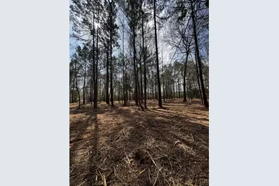 Tbd Old Israel, Livingston, TX 77351 - Photo 12