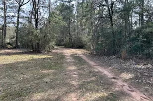 30996 Strathmore Rd, Waller, TX 77484 - Photo 18
