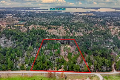 14074 Lewis Lane, Montgomery, TX 77316 - Photo 8