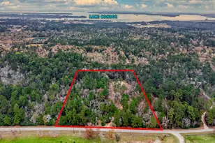 14074 Lewis Ln, Montgomery, TX 77316 - Photo 8