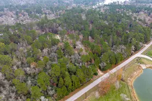 14074 Lewis Ln, Montgomery, TX 77316 - Photo 2