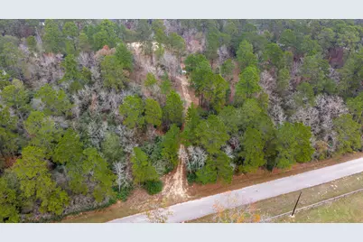 14074 Lewis Lane, Montgomery, TX 77316 - Photo 6