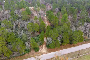 14074 Lewis Ln, Montgomery, TX 77316 - Photo 6