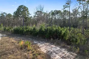 Tbd McGager Dr, New Caney, TX 77357 - Photo 14