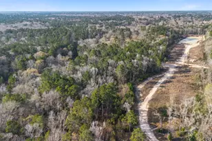 Tbd McGager Dr, New Caney, TX 77357 - Photo 4