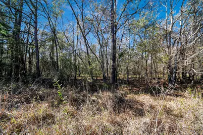 0 County Road 6242, Huffman, TX 77336 - Photo 12