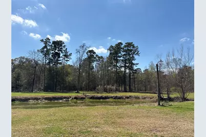 1821 E Beverly Drive, Shepherd, TX 77371 - Photo 10