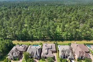 109 Evergreen Oak Dr, Conroe, TX 77384 - Photo 42