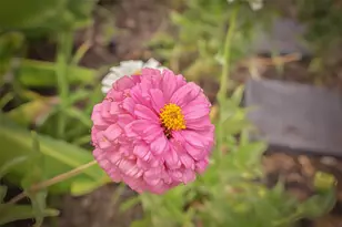 20830 Sherwood Pass Ln, Spring, TX 77379 - Photo 40