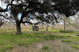 2941 County Rd 352, Brazoria, TX 77422 - Photo 16
