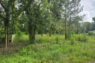 00 Olds Dr, Porter, TX 77365 - Photo 2