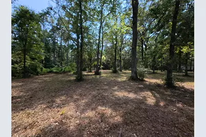 5 River Terrace Rd, Huffman, TX 77336 - Photo 1