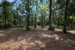 5 River Terrace Rd, Huffman, TX 77336 - Photo 1