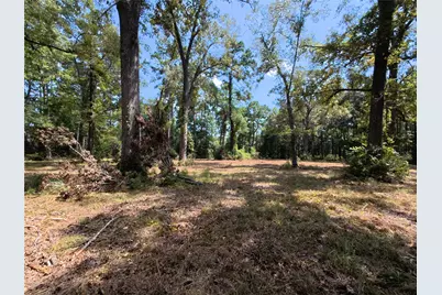 5 River Terrace Rd, Huffman, TX 77336 - Photo 4