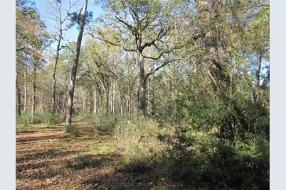 32602 Dogwood Trail, Magnolia, TX 77355 - Photo 4