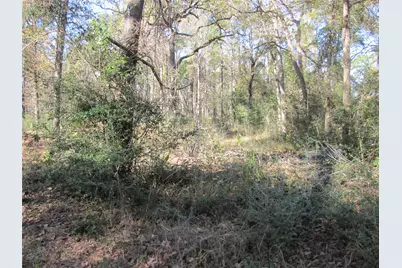 32602 Dogwood Trail, Magnolia, TX 77355 - Photo 2