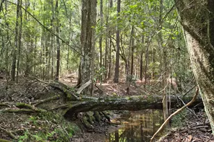 20818 Red Oak Dr, Cleveland, TX 77328 - Photo 6