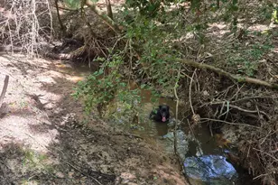 20818 Red Oak Dr, Cleveland, TX 77328 - Photo 8