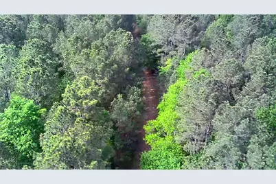 Tbd Pacel# 130757 Hwy 190, Point Blank, TX 77364 - Photo 6