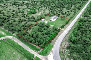1005 County Rd 643, Damon, TX 77430 - Photo 2
