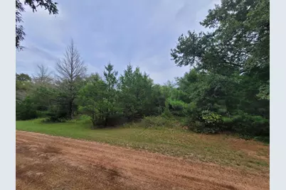 Lot 35 Redwood, Hempstead, TX 77445 - Photo 1