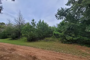 Lot 35 Redwood, Hempstead, TX 77445 - Photo 1