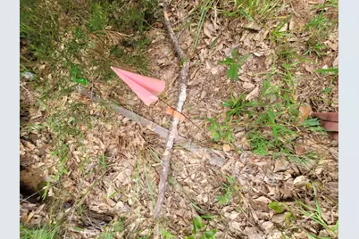 Lot 35 Redwood, Hempstead, TX 77445 - Photo 4