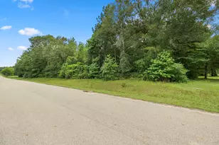 4207 Longhorn Drive, Cleveland, TX 77328 - Photo 10