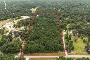 4207 Longhorn Drive, Cleveland, TX 77328 - Photo 6