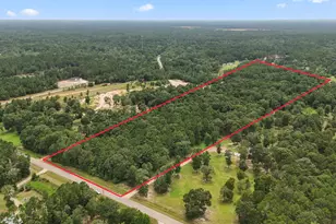 4207 Longhorn Drive, Cleveland, TX 77328 - Photo 4