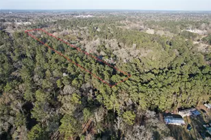 17038 Payne Rd, Conroe, TX 77302 - Photo 4