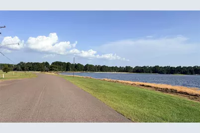 Lot 19 Silver Birch, Village Mills, TX 77663 - Photo 6