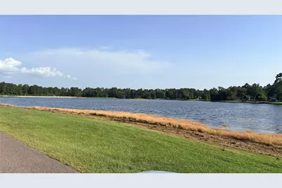 Lot 19 Silver Birch, Village Mills, TX 77663 - Photo 8