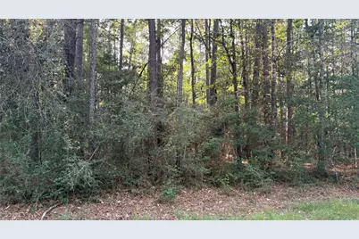 Lot 19 Silver Birch, Village Mills, TX 77663 - Photo 4